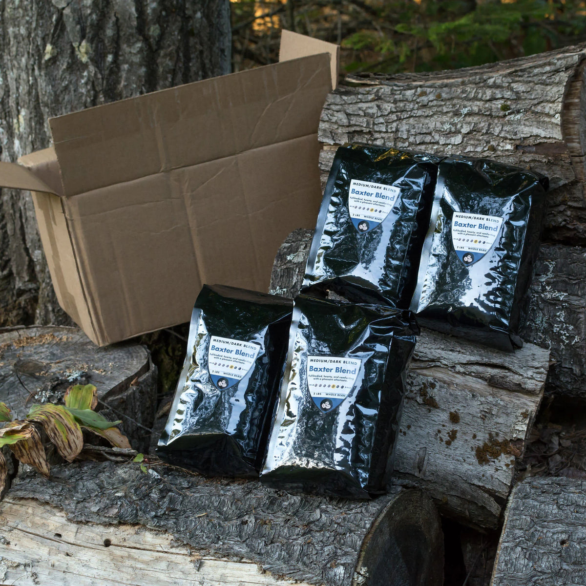 Katahdin Baxter Blend Bulk Whole Bean | Case of 4/2 lb Bags